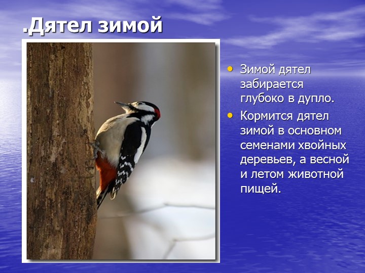 Презентация на тему "Звери зимой"