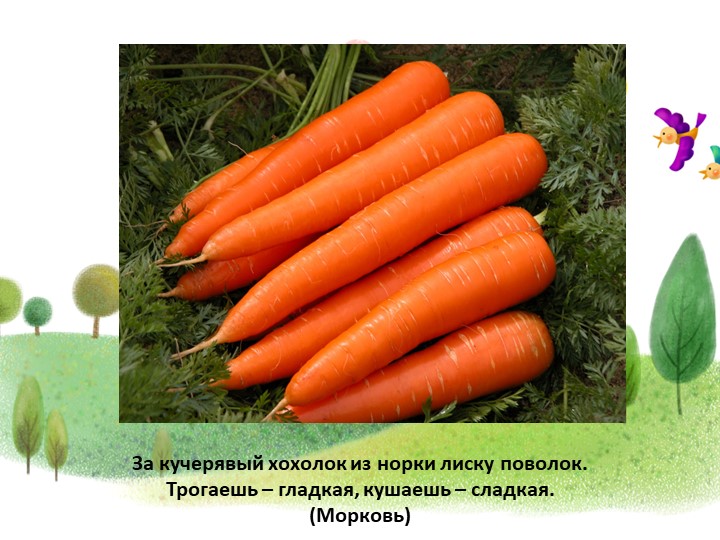 Презентация проекта"От семечка до урожая"