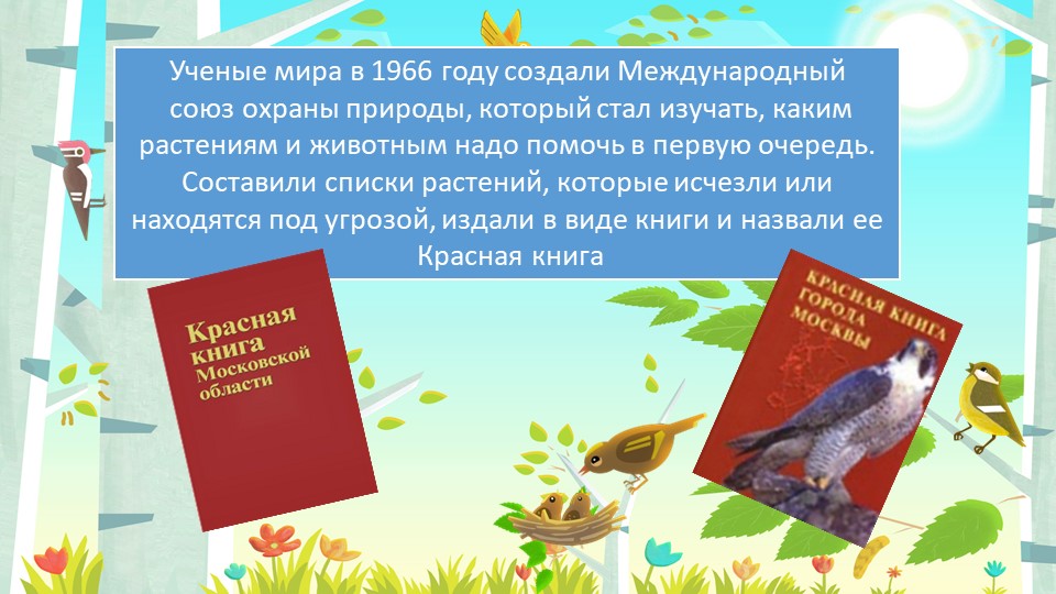 Презентация "Красная книга Московской области"