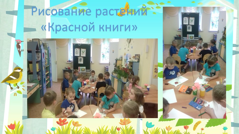 Презентация "Красная книга Московской области"