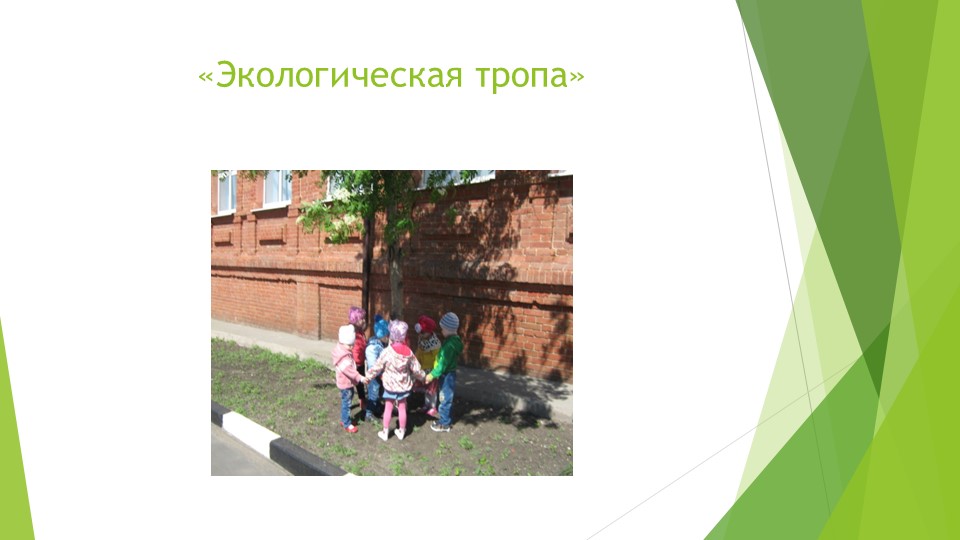 Презентация отчет о проделанной работе за 2015-2016 год.