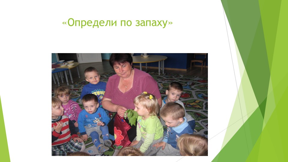 Презентация отчет о проделанной работе за 2015-2016 год.