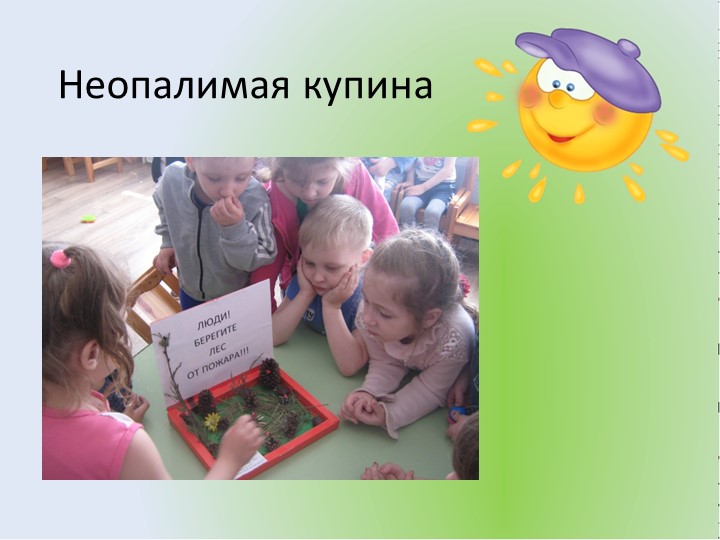 Презентация отчет за 2016-2017 год