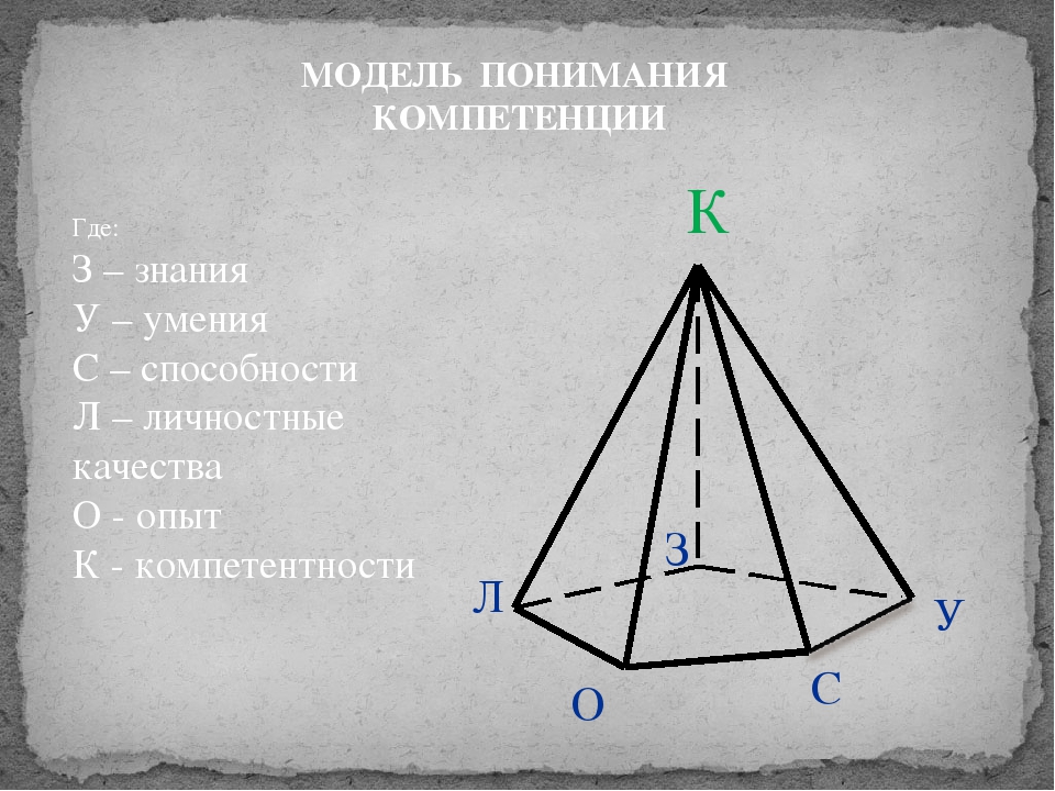 Профессиональные компетенции воспитателя в свете «Профессионального стандарта педагога»
