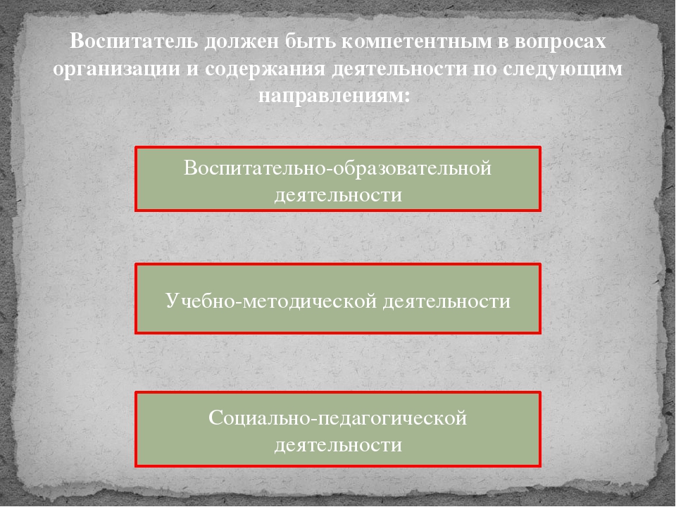 Профессиональные компетенции воспитателя в свете «Профессионального стандарта педагога»