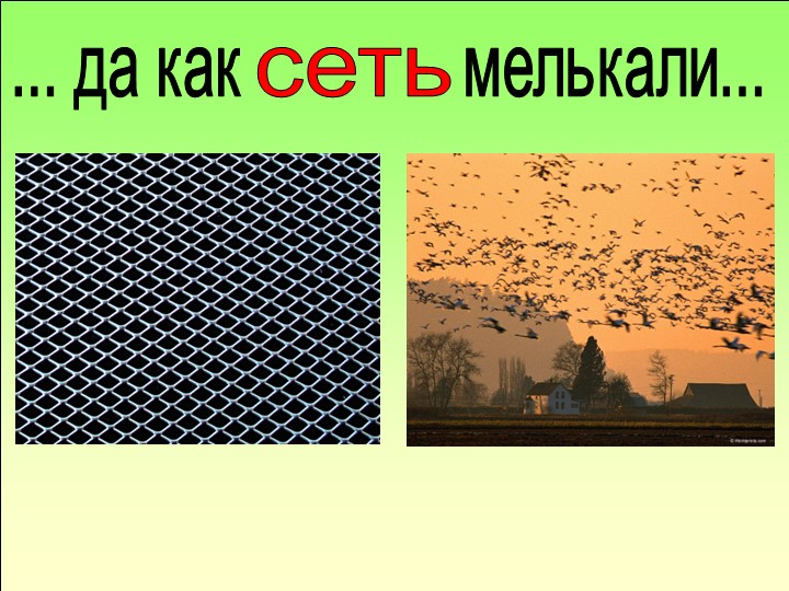 Конспект Н.О.Д. по развитию речи (Заучивание стихотворения "Ласточки пропали" А.Фета).