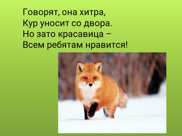 Презентация для дошкольников "Дикие животные"