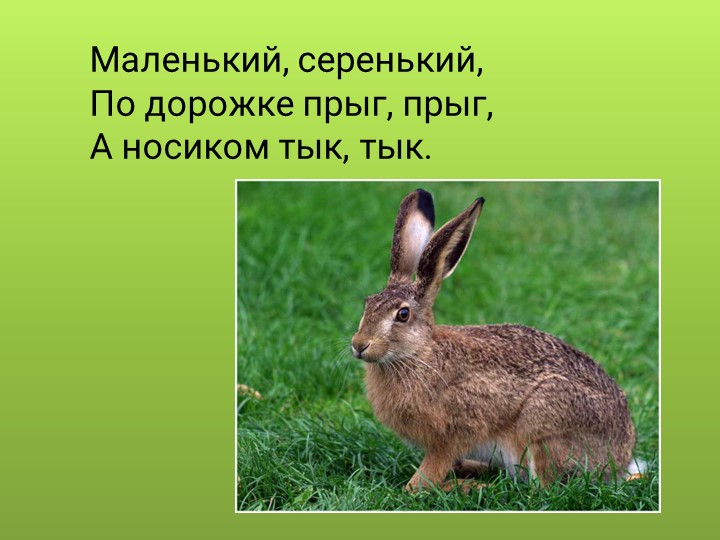 Презентация для дошкольников "Дикие животные"