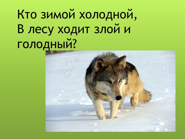 Презентация для дошкольников "Дикие животные"
