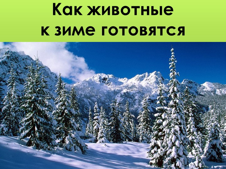 Презентация для дошкольников "Дикие животные"