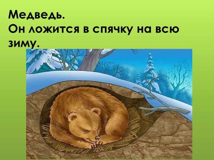 Презентация для дошкольников "Дикие животные"
