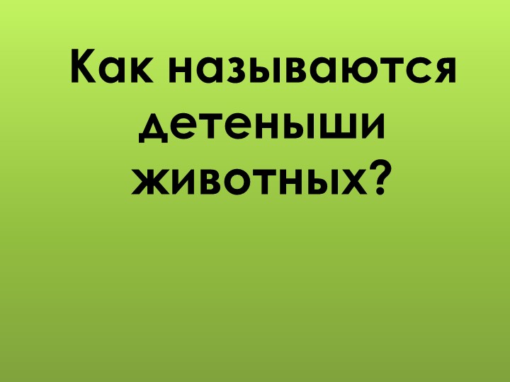 Презентация для дошкольников "Дикие животные"