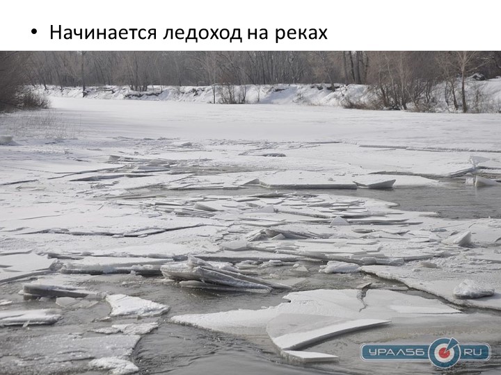 Проект "Об изменениях природы весной"
