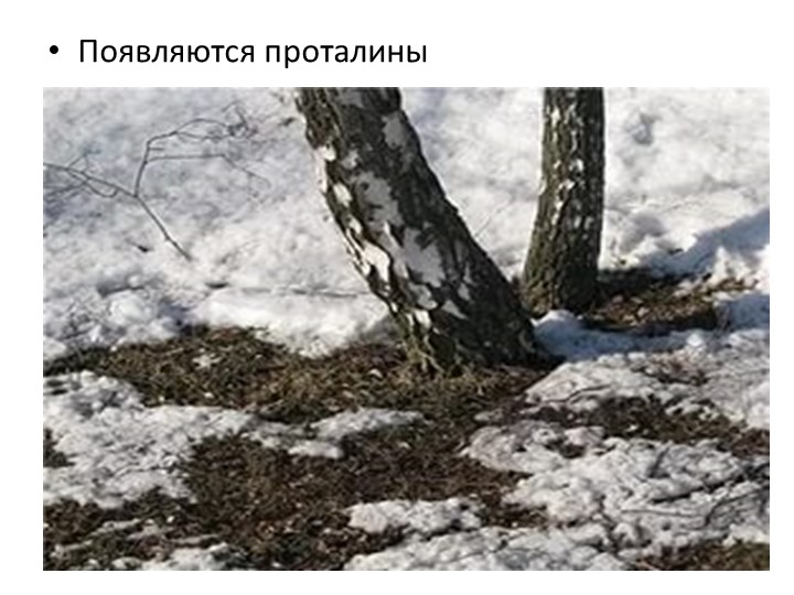Проект "Об изменениях природы весной"