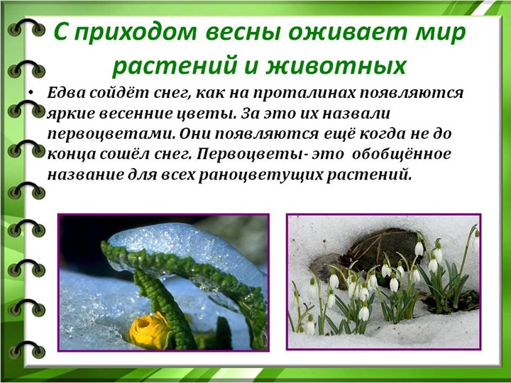 Проект "Об изменениях природы весной"
