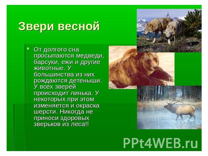 Проект "Об изменениях природы весной"