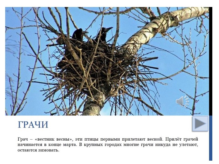 Проект "Об изменениях природы весной"