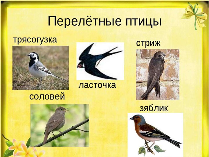 Проект "Об изменениях природы весной"