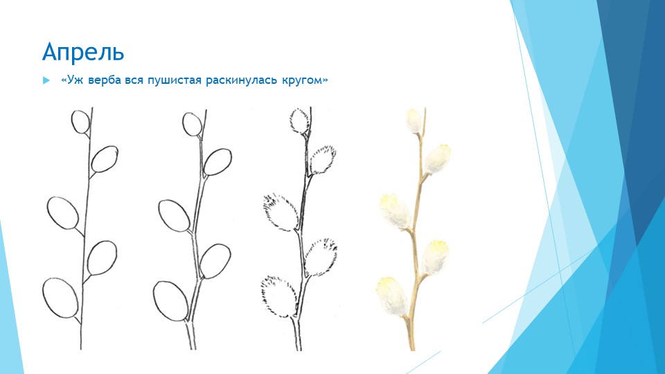 Рисуем цветы в детском саду