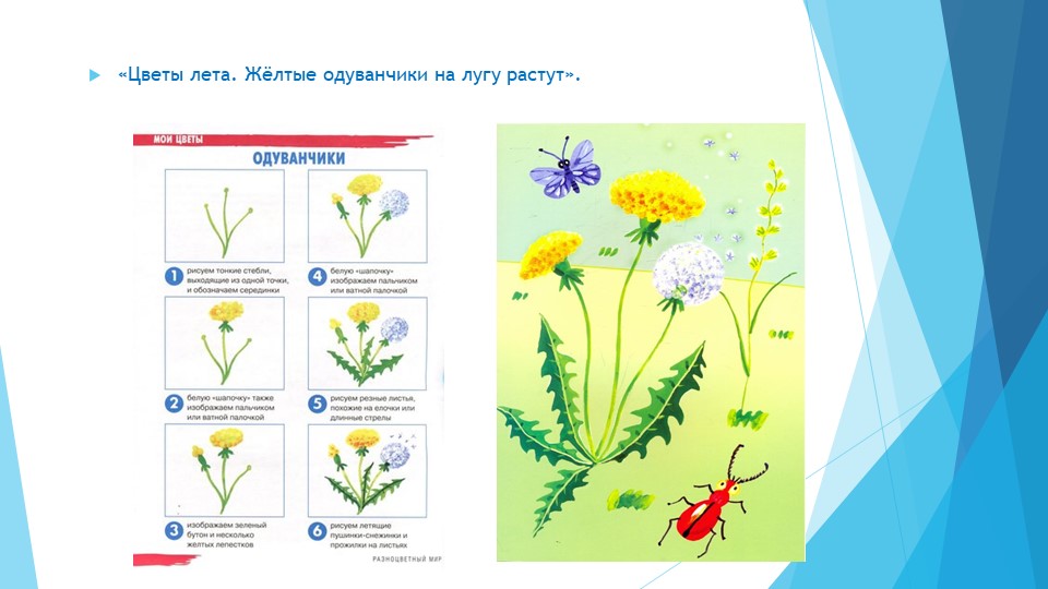 Рисуем цветы в детском саду
