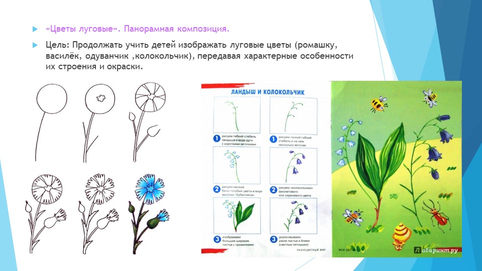 Рисуем цветы в детском саду