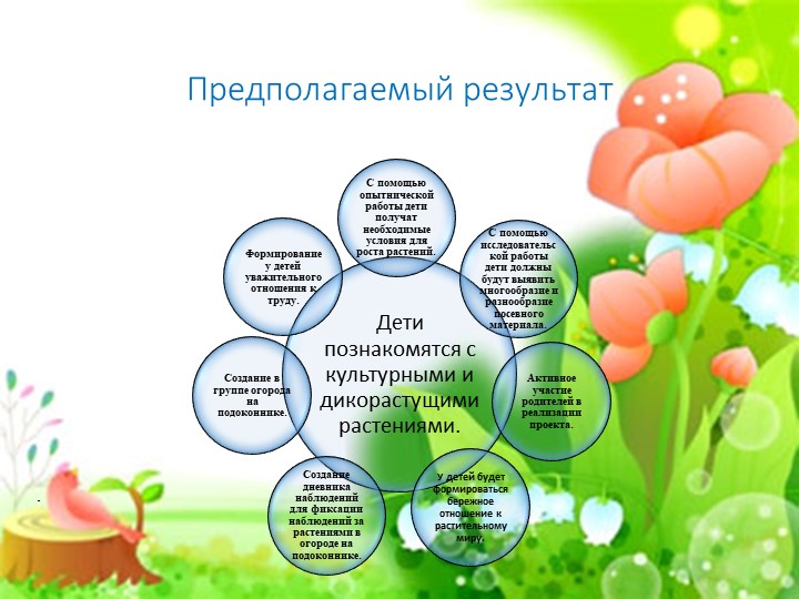 Проект "Огород на подоконнике"