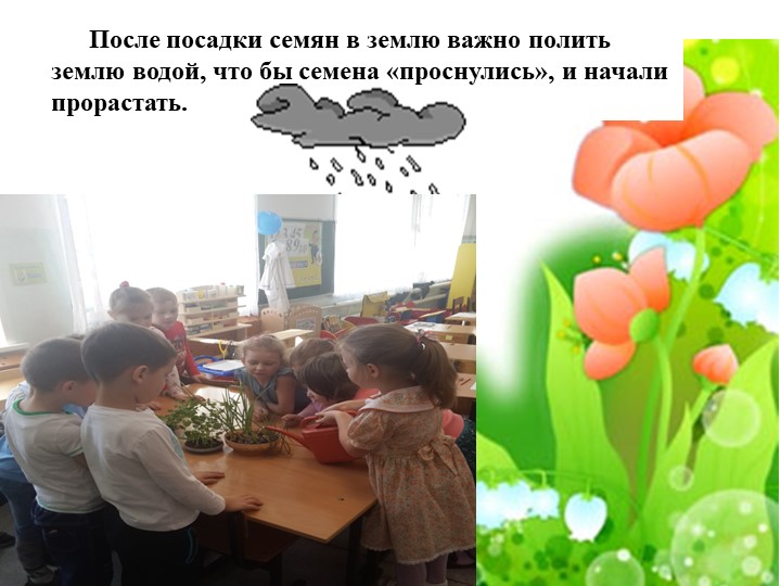 Проект "Огород на подоконнике"