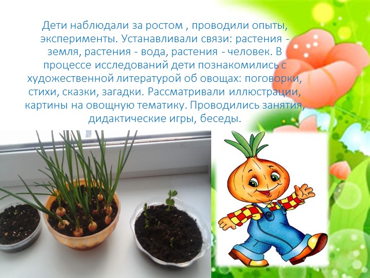 Проект "Огород на подоконнике"