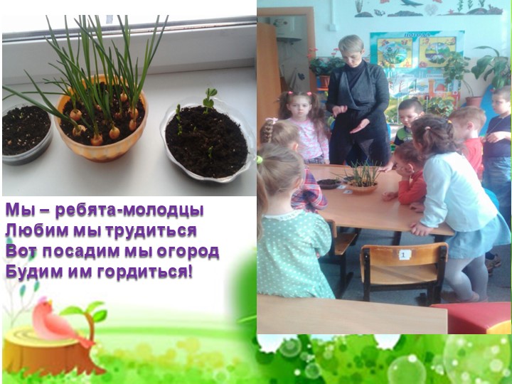 Проект "Огород на подоконнике"
