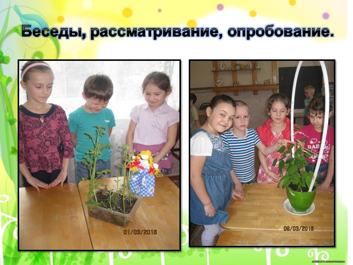 Проект "Огород на подоконнике"
