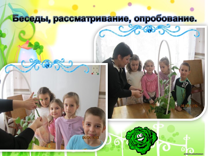 Проект "Огород на подоконнике"