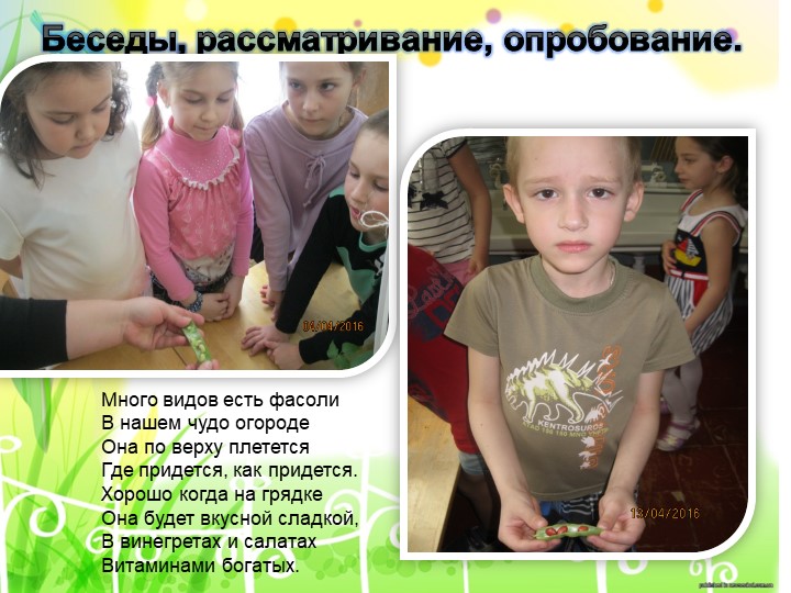 Проект "Огород на подоконнике"