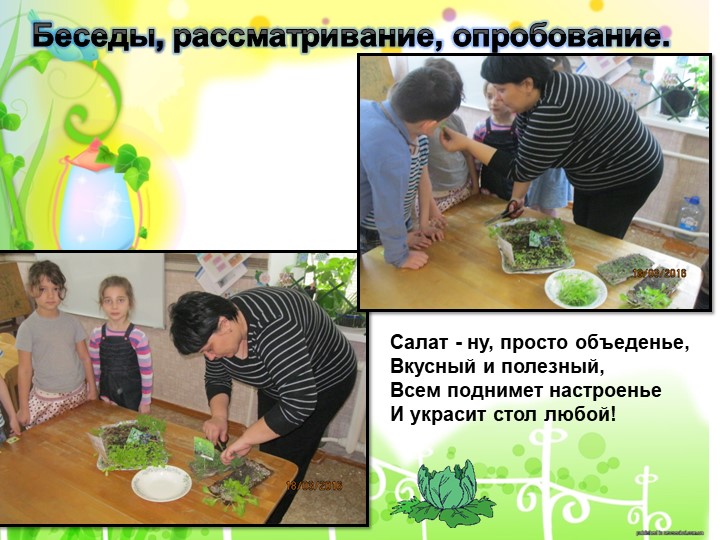 Проект "Огород на подоконнике"