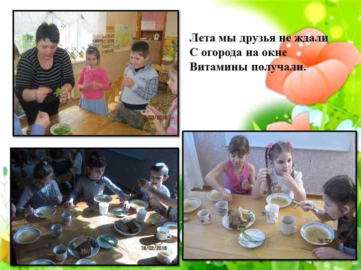 Проект "Огород на подоконнике"
