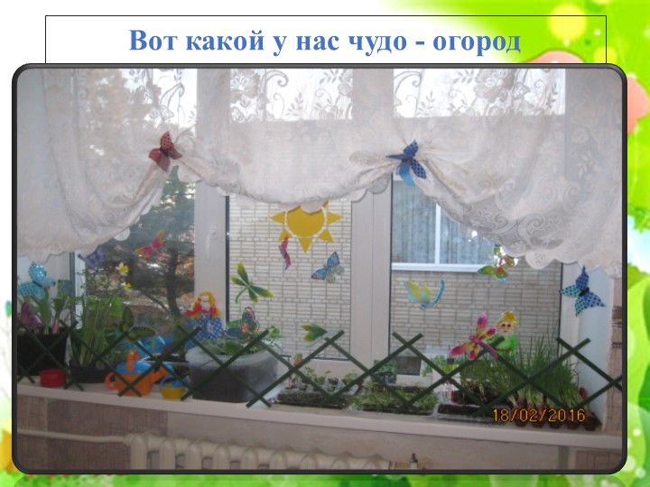 Проект "Огород на подоконнике"