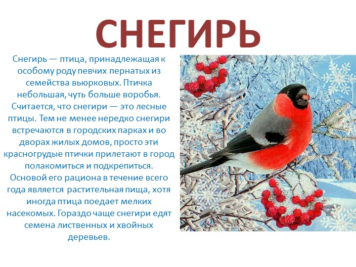 Презентация на тему: "Зимующие птицы"
