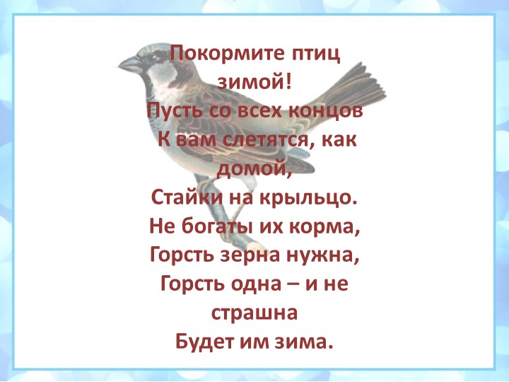 Презентация на тему: "Зимующие птицы"
