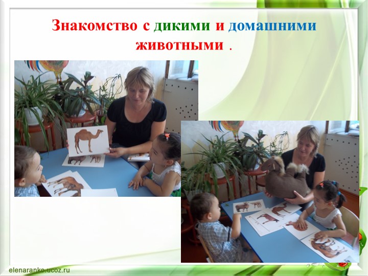Презентация "Дидактическая игра в экологическом воспитании дошкольников"