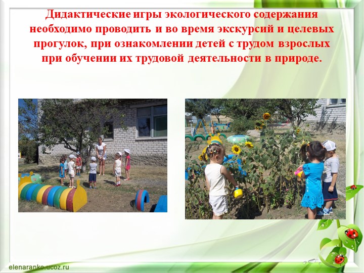 Презентация "Дидактическая игра в экологическом воспитании дошкольников"
