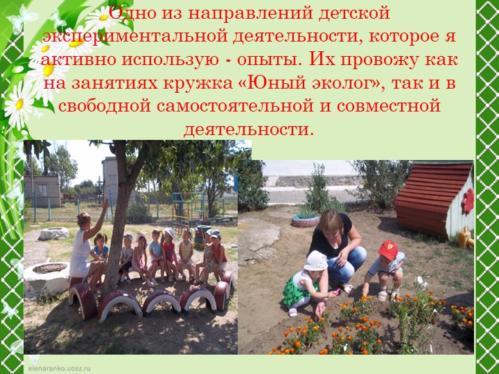 Презентация "Развитие интеллектуальных способностей дошкольников в опытно - исследовательской деятельности"