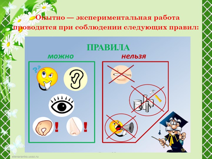 Презентация "Развитие интеллектуальных способностей дошкольников в опытно - исследовательской деятельности"