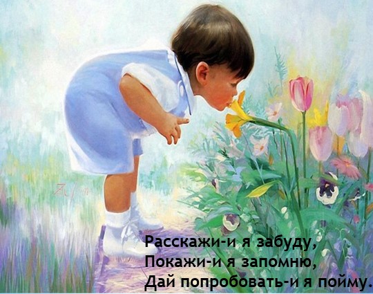 "Основные задачи и содержание работы по развитию познавательно-исследовательской деятельности в ДОУ"
