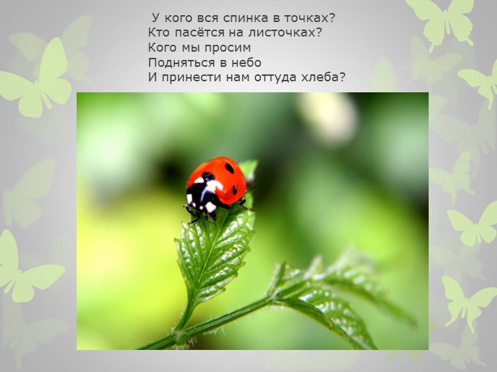 Презентация на тему : "Насекомые" (загадки)