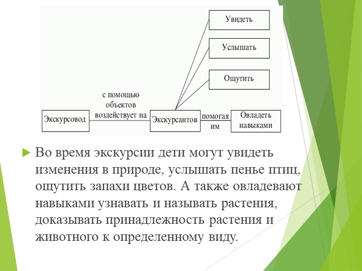 Презентация на тему "Экскурсия как основная форма познавательного развития дошкольников"