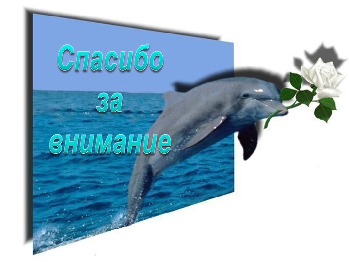 Развивающая предметно-пространственная среда в средней группе.