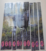 Picture 23