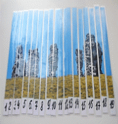 Picture 24