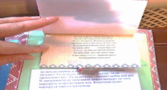 Picture 28