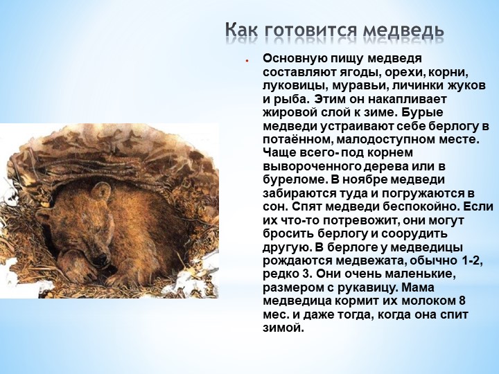 Презентация Кто как готовится к зиме