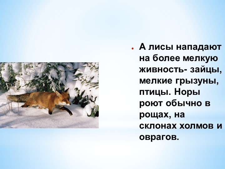 Презентация Кто как готовится к зиме